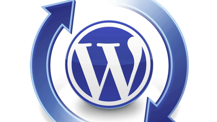 Optimized  WordPress Hosting